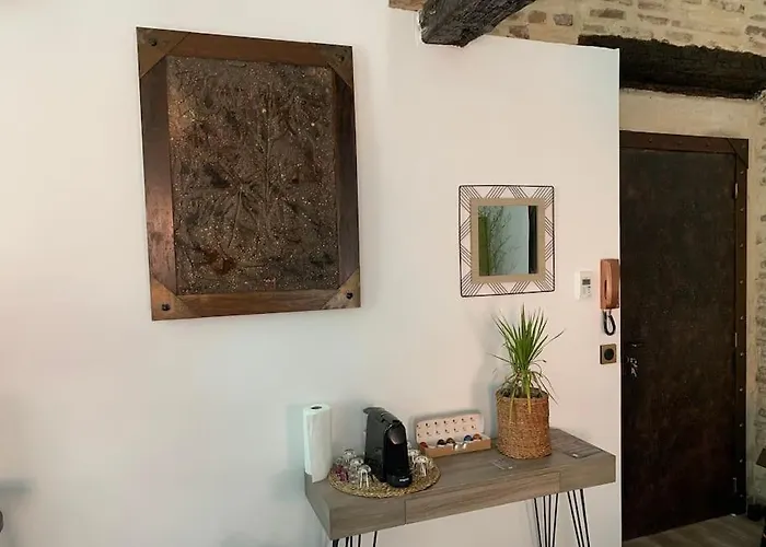 公寓 Coeur De 佩皮尼昂